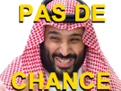 lachance-orient-mohammed-mbs-moyen-chance-la-salman-politic-saoudite-arabie