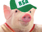 casquette-daylight-pig-dead-cochon-other-by-rsa