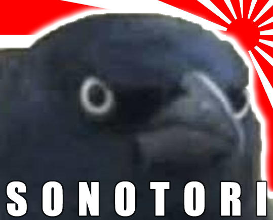 sonotori risitas summerfag crow corbeau