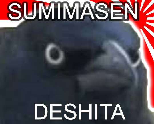 sumimasen summerfeg crow corbeau risitas