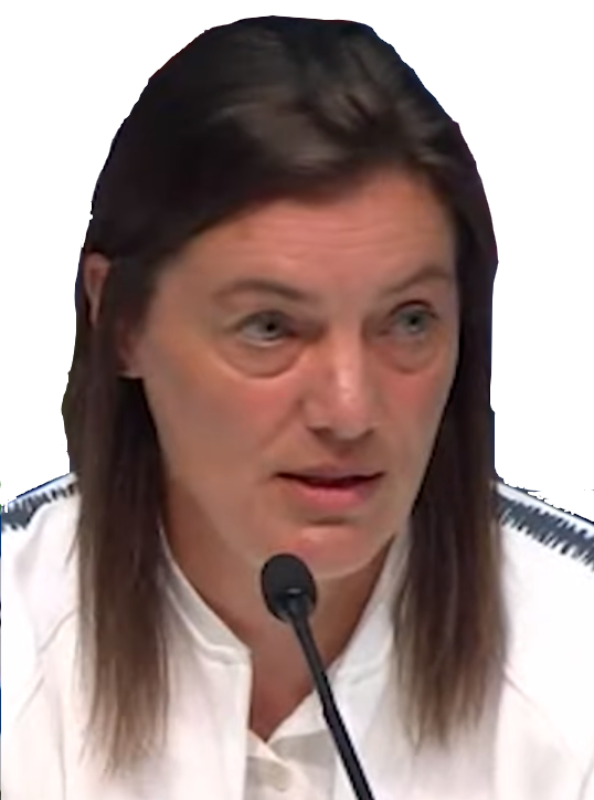 feminin corinne diacre football risitas france