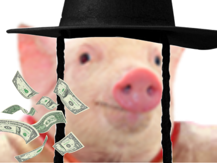 chapeau qlc dollars jvc juif argent chochon