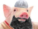 cochon-imam-barbe-musulman-jvc-qlc