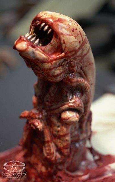 parasite alien risitas faceugger bebe