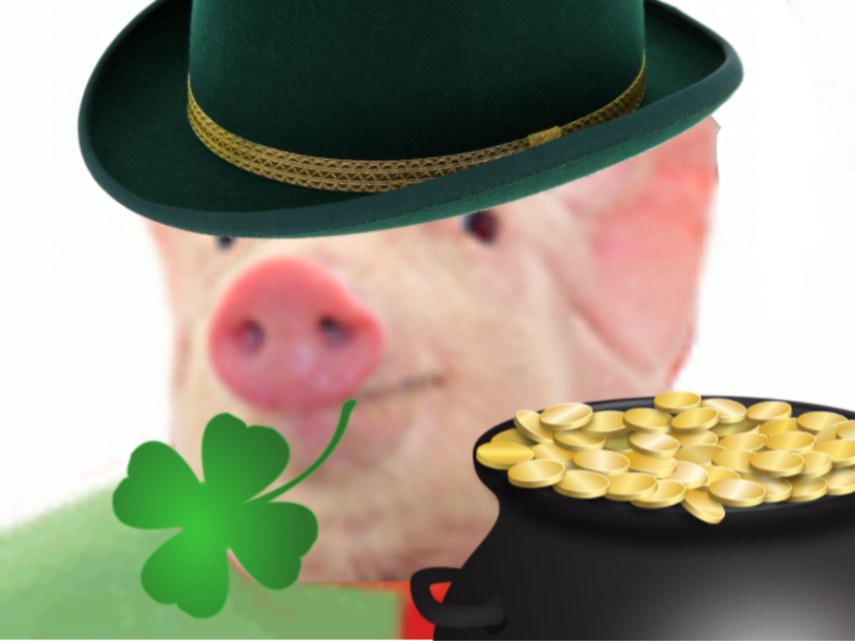 lutin risitas cochon irlandais