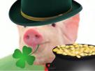 lutin-risitas-cochon-irlandais