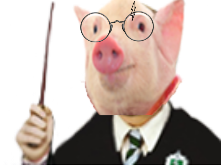 cochon potter risitas harry