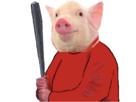 jvc-qlc-batte-cochon