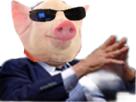wow-risitas-cochon-qlc
