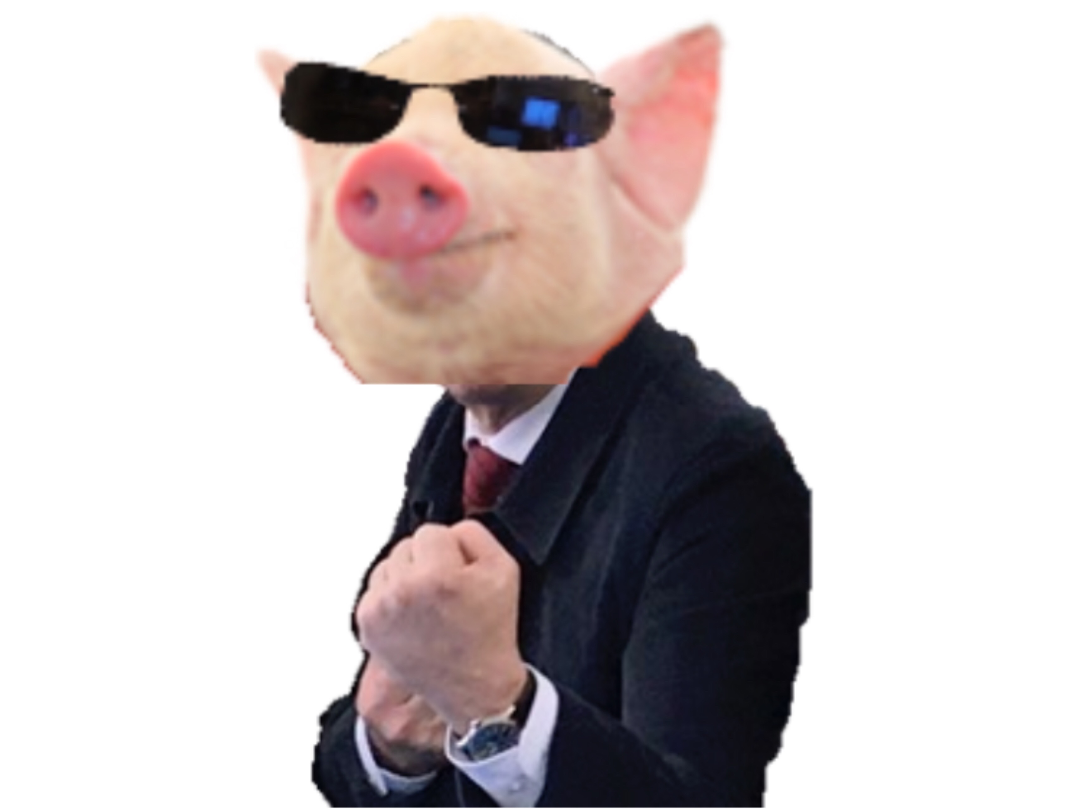 qlc fight cochon risitas