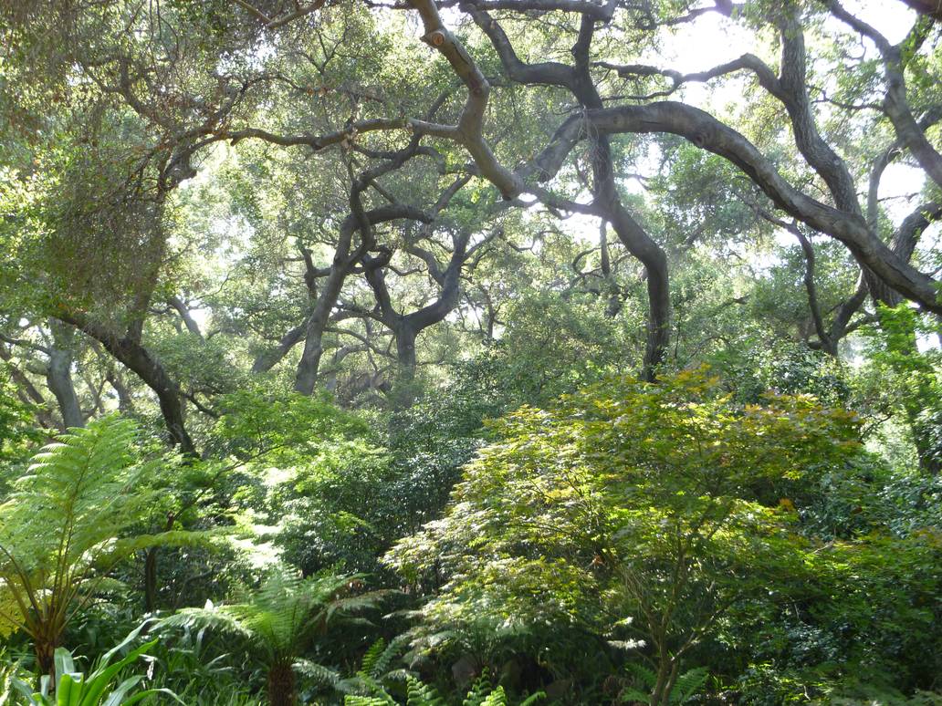 forets nature risitas jurassic