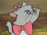 risitas chat marie aristochats