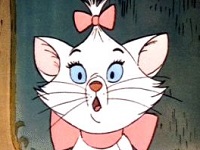 chat risitas aristochats marie