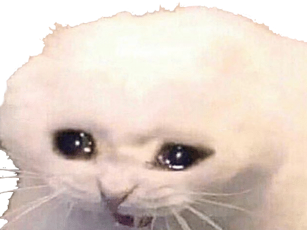 larme pleure sbeve meme triste reddit chiale animal chat other depression