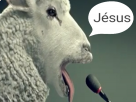 christ-azlok-agneau-jesus-chretien-mouton-brebis