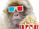 3d-drama-corn-topic-resume-discussion-attention-spectacle-pop-lunette-lunettes-risitas-film-ecoute-magot-cinema
