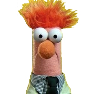 decu risitas ahuri belgique