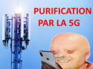 science-purification-risitas-5g-technologie-ondes-cancer
