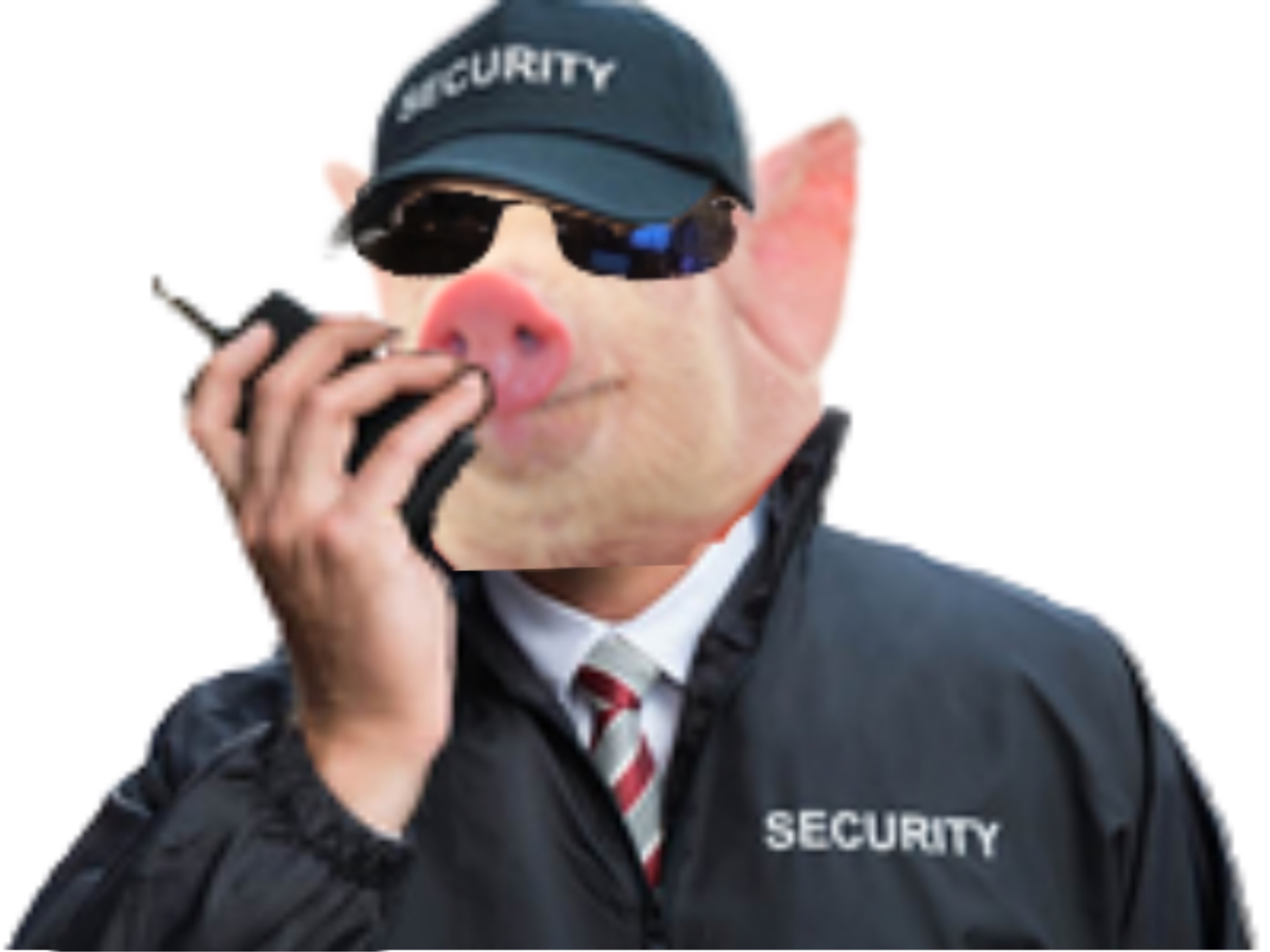 cochon securite qlc jvc