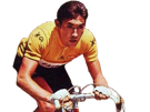 france-other-jaune-velo-cycliste-maillot-de-merckx-eddy-belge-tour