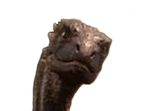 other got dragon baby bebe drogon