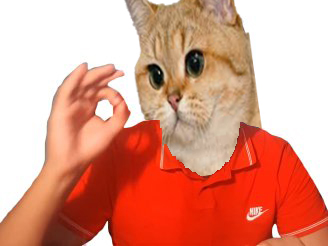 chat thekairi78 cat risitas