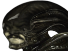 risitas-lv426-de-facehugger-creature-science-extraterrestre-peau-en-xenomorph-xenomorphe-univers-horreur-alien-fiction-monstre-genou-chestburster-peur-beret-nostromo-et