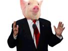 cochon-other-qlc-president
