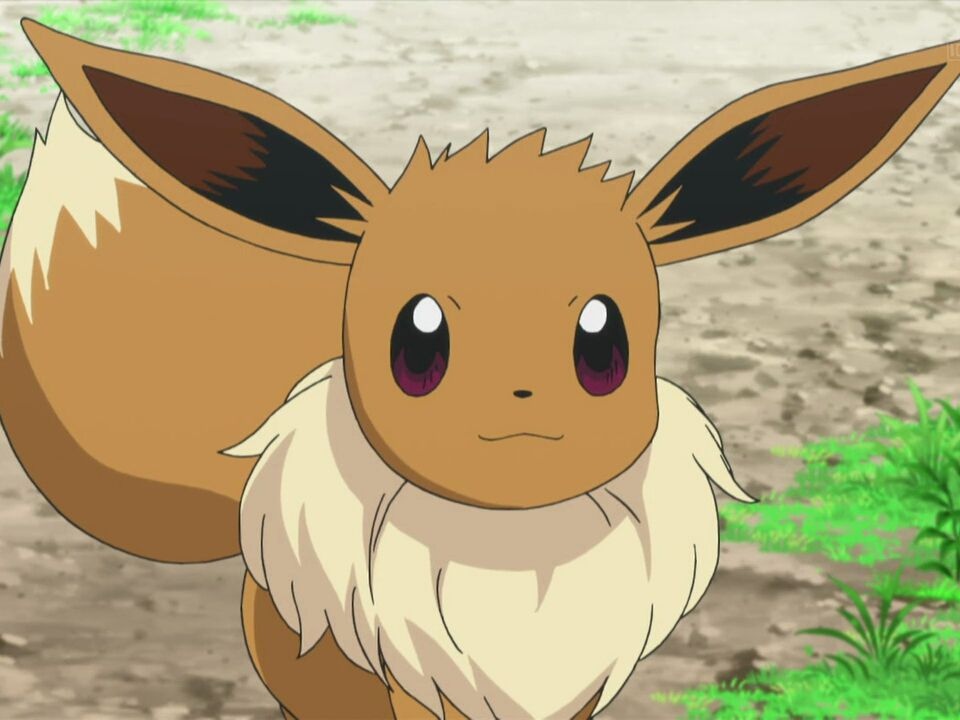 kikoojap geekiri pokemon