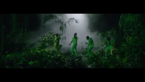 roi lion blanka risitas pnl