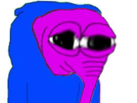 sweat hoodie capuche elephant ed pull other rose