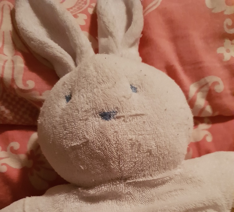 lapin zoom peluche