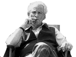 fauteuil samuel fuller realisateur chien