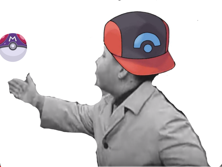 gros belge pokemon petit dresseur macrale