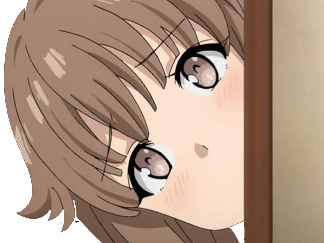 azisagawa porte kikoojap kaede