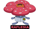 fleurs-plante-rafflesia-raflesia-etoile-pokemon-pokefeuj-christavalier-juif-other