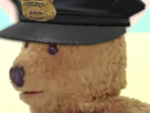 nounours-policier-other-police