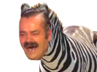 surdoue-chimere-zebre-animal-risitas