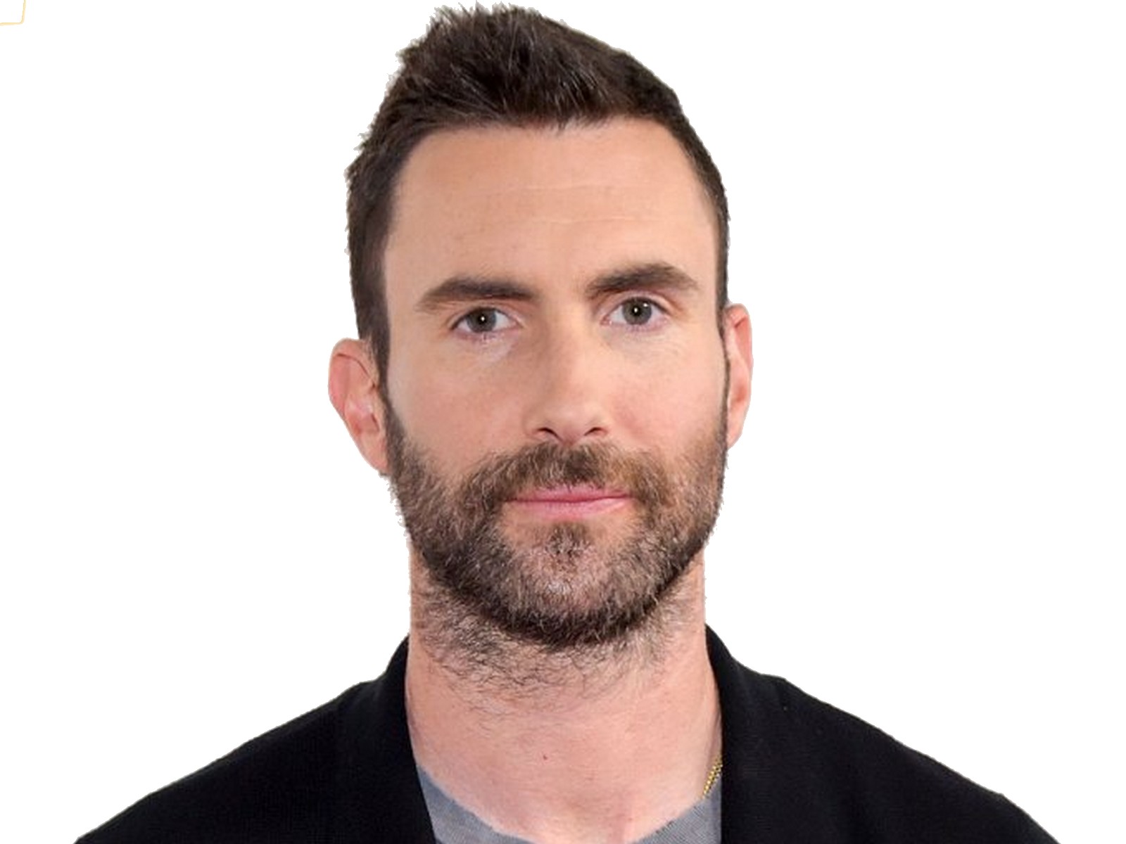 maroon5 levine risitas adam