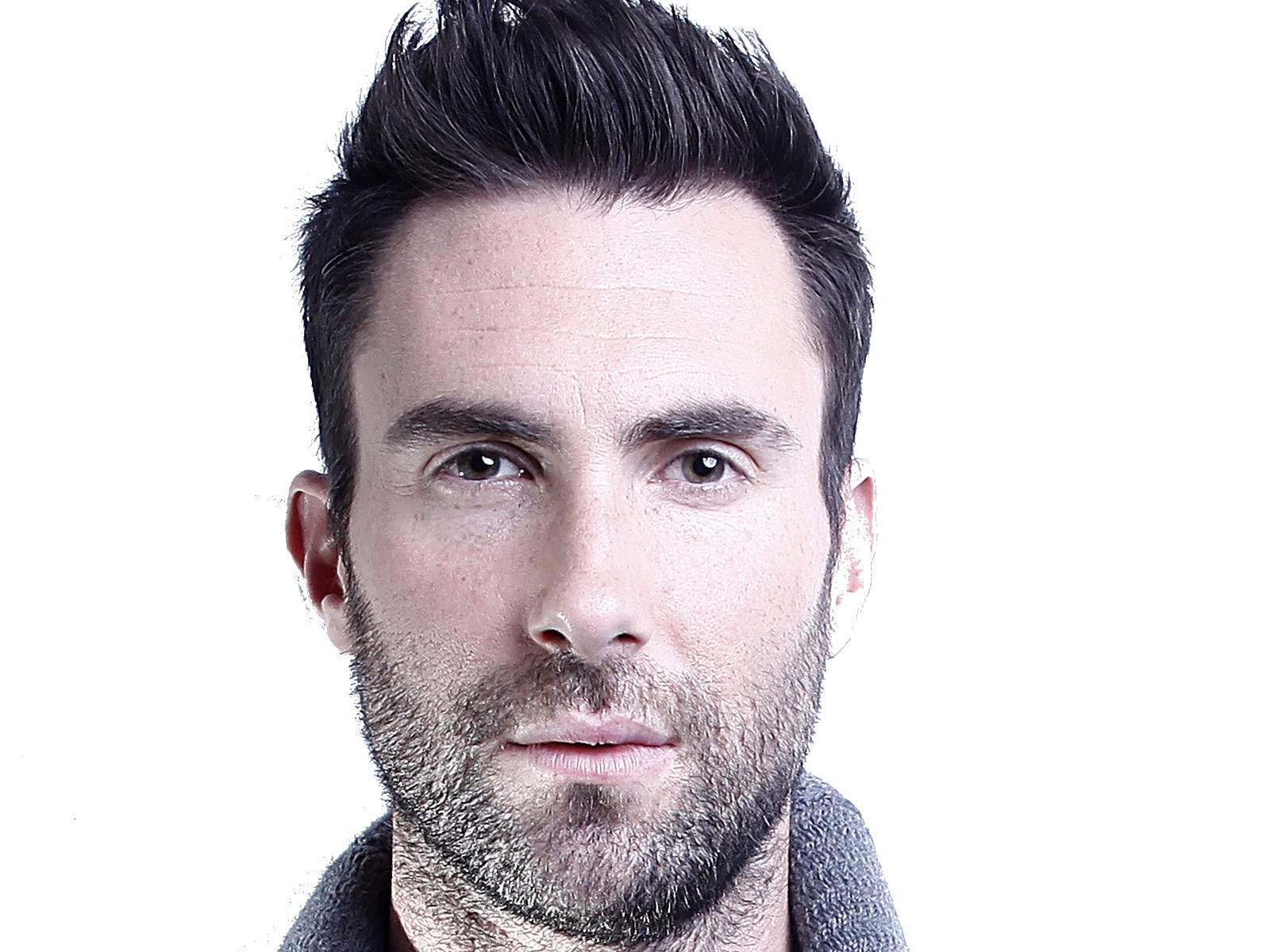 beaugosse maroon5 levine adam