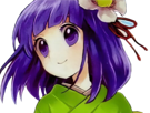 hieda-touhou-kikoojap-no-akyuu