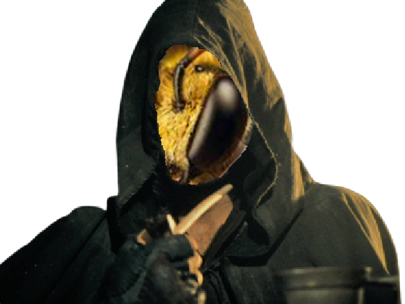 abeille aragorn lotr risitas