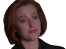 x-dana-files-scully-xfiles-other
