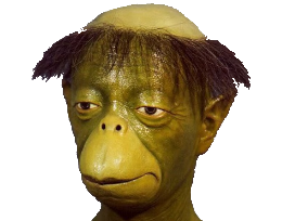 vert monstre risitas kappa calvitie blase