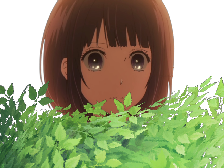 kikoojap gomme buisson