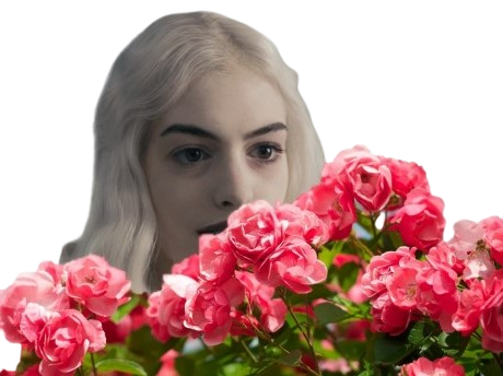 fleurs reine blanche anne hathaway cachee