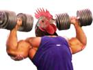 muscu-deter-go-maurice-coq-other