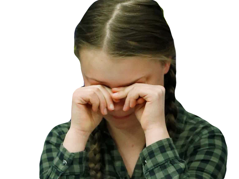 other fille militante greta pleure jeune ecologie co2 thunberg