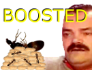risitas-boost-fourmi