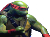 tortue ninja turleninja